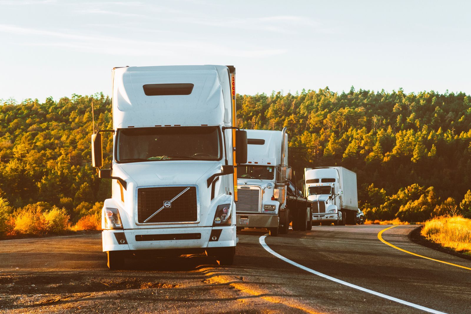 Fleet of trucks on the road